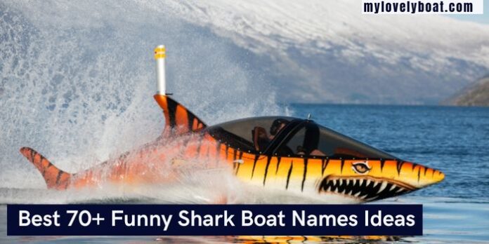 Shark Boat Names Ideas