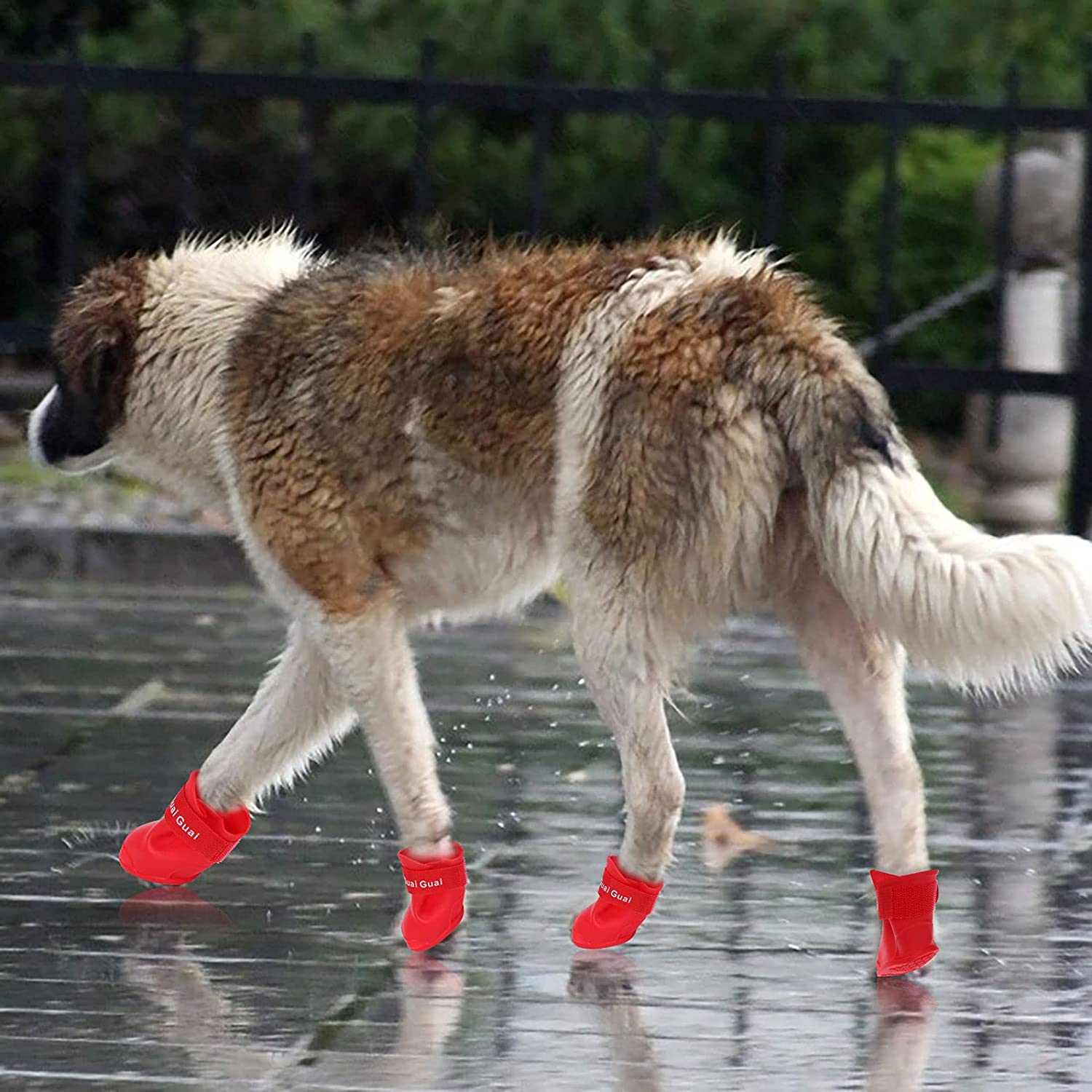 Doggy Water Shoes