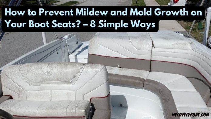 what takes mold off of boat seats