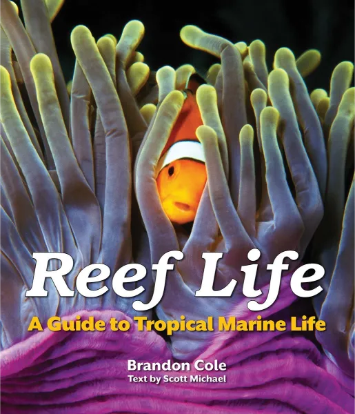 Marine-Life Identification Guide