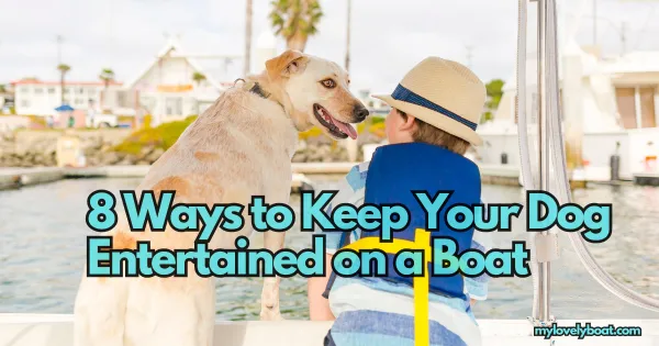 8 Ways to Keep Your Dog Entertained on a Boat