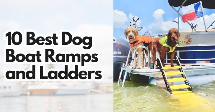 Best Dog Boat Ramps and Ladders