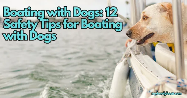 12 Safety tips for boating with dogs