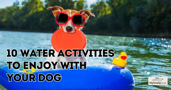 10 Water Activities to Enjoy With Your Dog