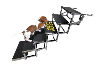 Best Dog Boat Ramps and Ladders 1