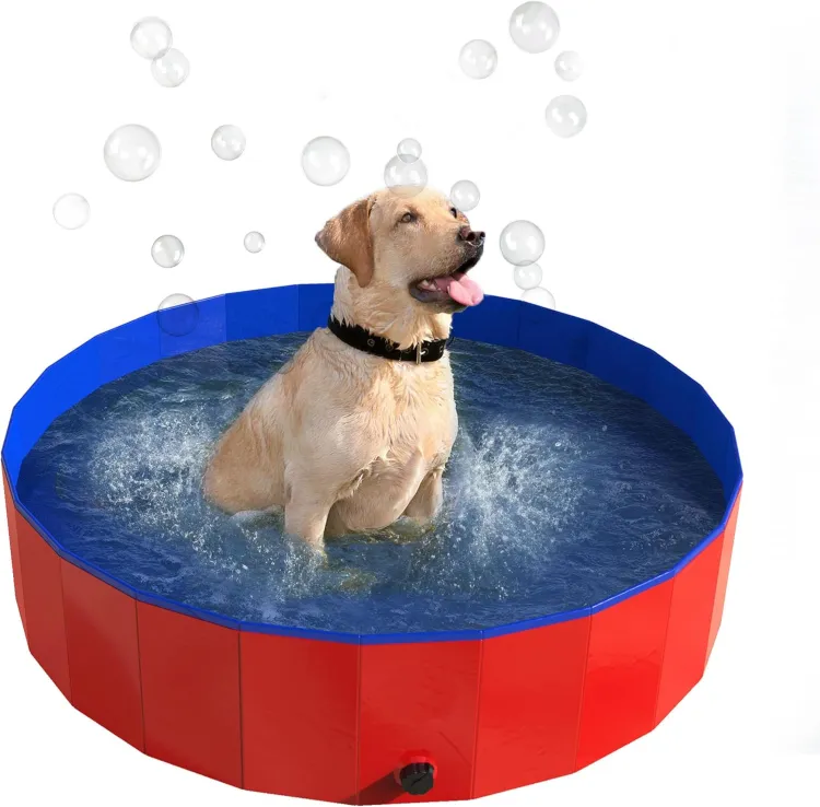 Collapsible Dog Pool