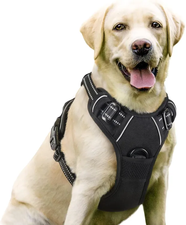  Dog Harness