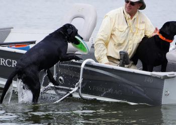 Drifter Marine Dog Boat Boarding Ladder Dbl