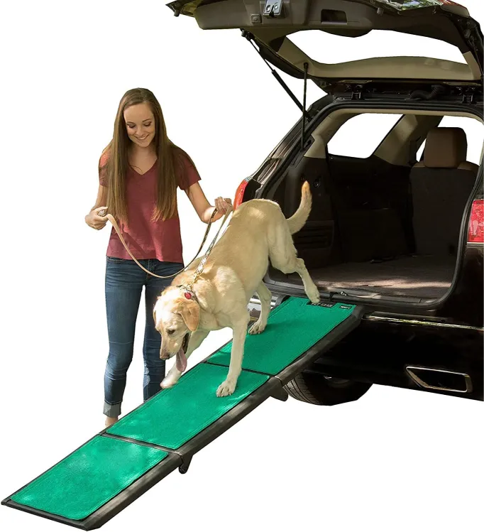 Floating Dog Ramps