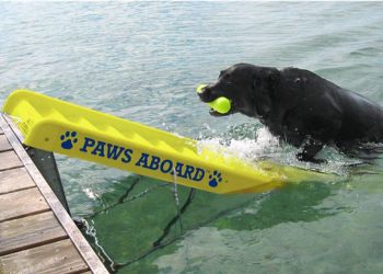 Paws Aboard dog ladder that attaches right to their boats