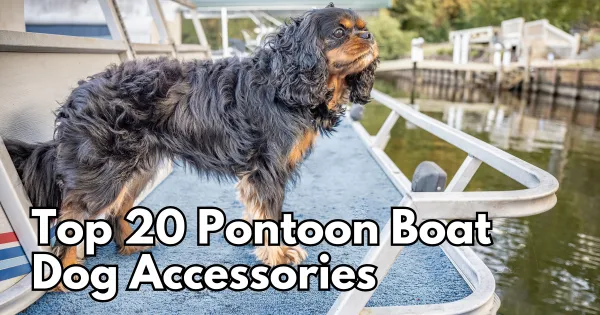 Pontoon Boat Dog Accessories