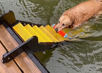 WaterDog Adventure Gear Dog Ladder for Fiberglass Boats