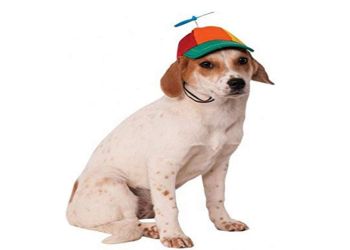 Basic Baseball Cap for Dogs