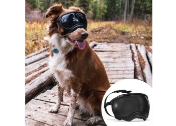  Best Overall_ Rex Specs V2 Dog Goggles