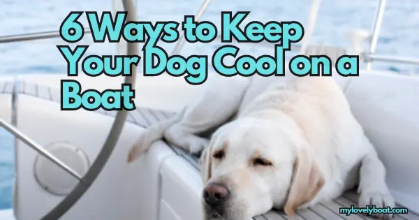 6 Ways to Keep Your Dog Cool on a Boat