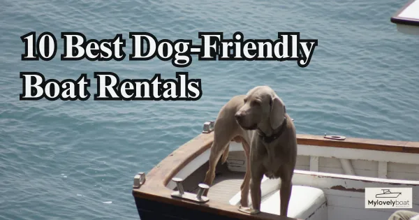 10 Best Dog-Friendly Boat Rentals