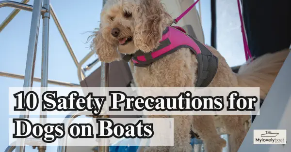 10 Essential Safety Precautions for Dogs on Boats