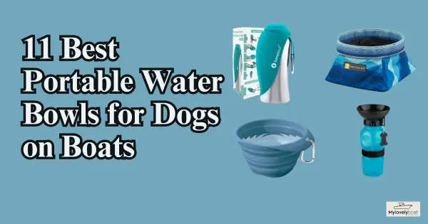 11 Best Portable Water Bowls for Dogs on Boats: Keep Your Canine Hydrated and Happy