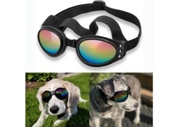 Best Budget_ QUMY Dog Goggles