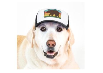 PupLid Trucker Hat