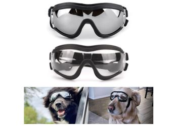  Most Stylish_ Doggles Sidecar Eyewear