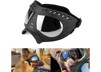 Best for Long Snout Dogs_ Namsan Dog Sunglasses