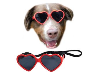 Best Heart-Shaped_ Style Vault Dog Sunglasses