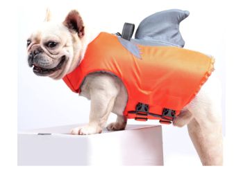 Dog Life Jacket_ Safety First