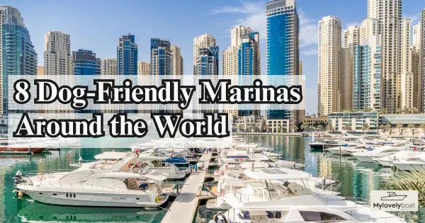 8 Dog-Friendly Marinas Around the World