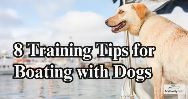 8 Training Tips for Boating with Dogs