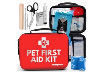  Dog First Aid Kit_ Be Prepared for Anything