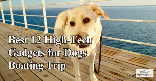 Best 12 High-Tech Gadgets for Dogs Boating Trip