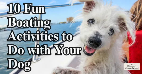 10 Fun Boating Activities to Do with Your Dog