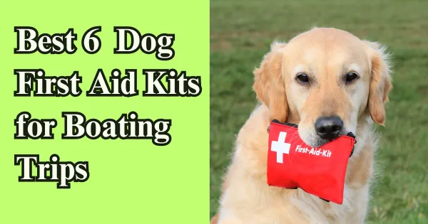 Best 6 Recommended Dog First Aid Kits for Boating Trips (Update 2024)