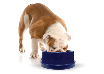 K&H Pet Products Travel Water Bowl