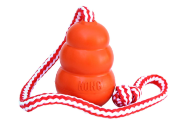 KONG Aqua Dog Toy