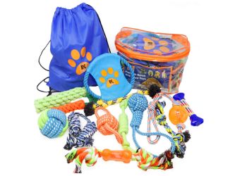 Playtime Essentials_ Dog Toys